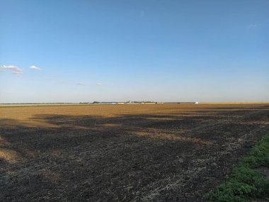 Uzakta tarlalar ve üzüm bağları