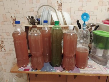 Birkaç şişe ev yapımı hafif şarap.