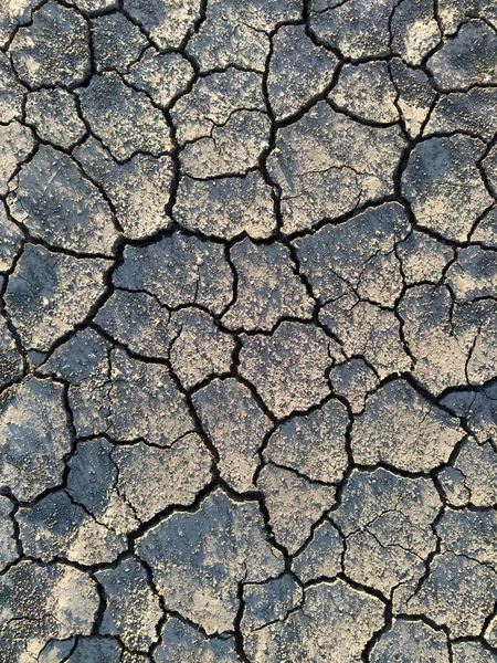 Background Dried Cracked Earth — Stock Photo, Image