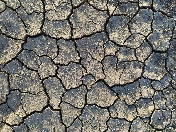 Background Dried Cracked Earth — Stock Photo, Image