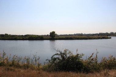 Nehir çayırların ve ağaçların yanında akıyor.