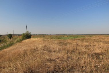 Kurumuş çimenli sonbahar tarlası