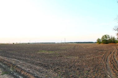 Akşamları tarla sürdüm.