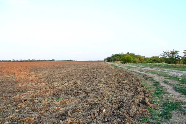 Campo Agrícola Fluido Por Noche — Foto de Stock