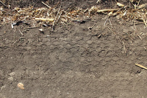 Tracce Macchine Agricole Nel Campo Agricolo Secco Scena Agricola — Foto Stock