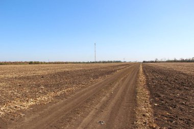 Toprakta mısır kalıntıları var.