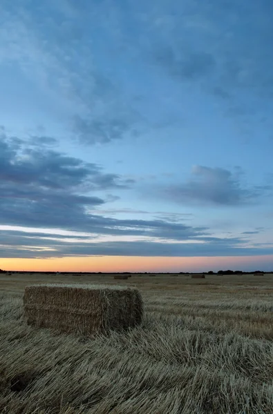 Campo Cereal Cosechado Amanecer Con Bala Paja Primer Plano — Zdjęcie stockowe