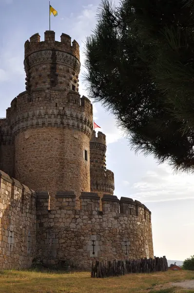 Torren de castillo gotico isabelino con rama de pino
