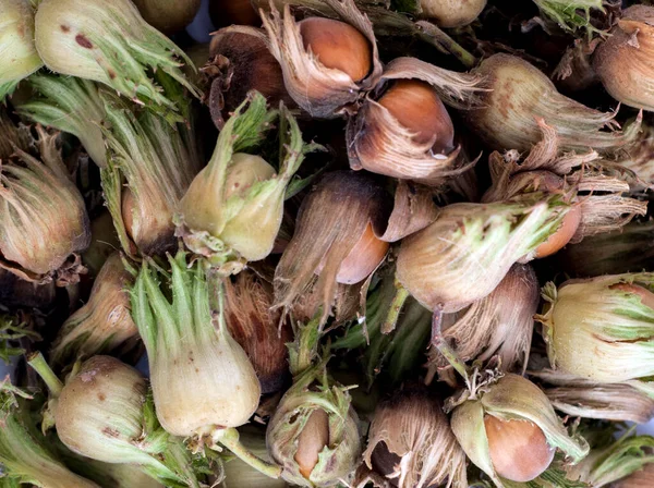 Avellanas cogidas sin procesar 'ı aldı