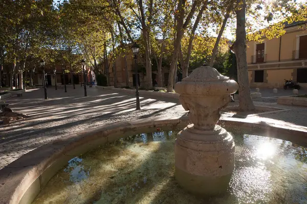 Bahçeli bir meydanda eski bir çeşme, Alcala de Henares, Madrid Topluluğu, Plaza Palacio.