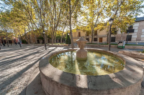 Bahçeli bir meydanda eski bir çeşme, Alcala de Henares, Madrid Topluluğu, Plaza Palacio.