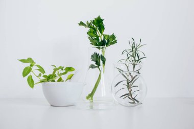 Pestle ve havan topu, beher ve matara. Alternatif bitki ilaçları, bilimsel araştırma konsepti.