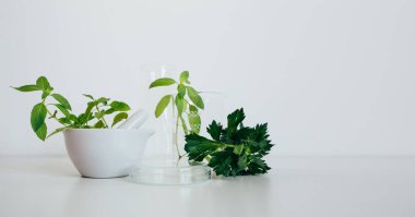 Pestle ve havan topu, beher ve matara. Alternatif bitki ilaçları, bilimsel araştırma konsepti.