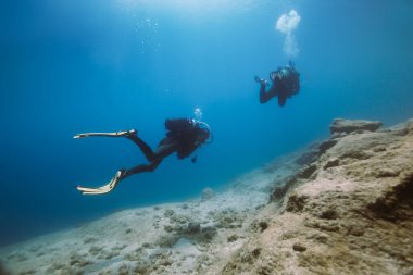 Sualtı dalışı. Scuba dalgıcı suyun altında
