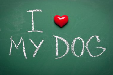 Yeşil tahtadaki köpeğimi seviyorum. 