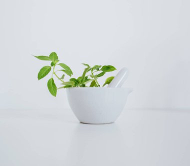 Alternatif bitki ilaçları, bilimsel araştırma konsepti.