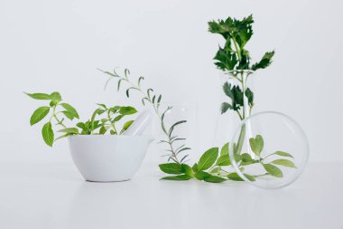 Alternatif bitki ilaçları, bilimsel araştırma konsepti.