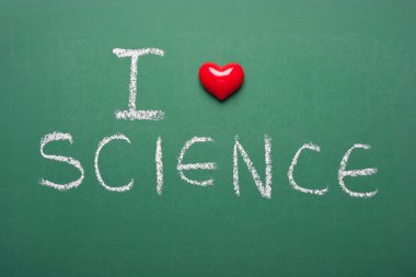 Yeşil karatahtadaki bilime bayılırım. 