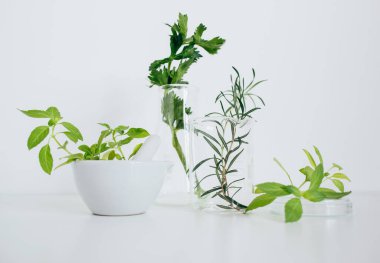 Alternatif bitki ilaçları, bilimsel araştırma konsepti.