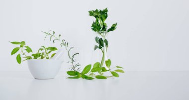 Pestle ve havan topu, beher ve matara. Alternatif bitki ilaçları, bilimsel araştırma konsepti.