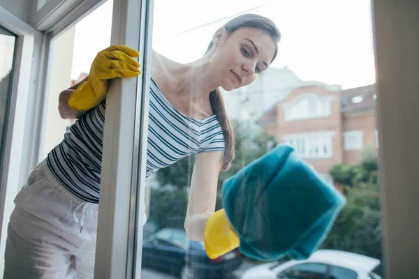 Genç tatlı kız büyük ofis penceresini temizliyor.