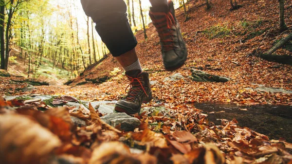 Vista Basso Angolo Escursionista Attraversando Ruscello Foresta Autunnale Primo Piano — Foto Stock