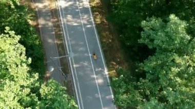 Ormanda bisiklet süren bisikletçilerin hava manzarası