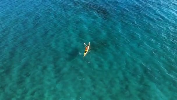 High Angle View Kayaker Man Paddling Kayak Sea Aerial View — Stock Video