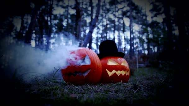 Deux citrouilles sculptées effrayantes pour Halloween avec de la fumée dans la forêt — Video