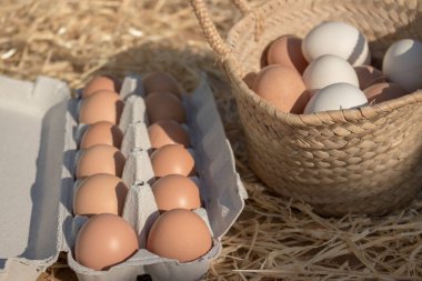 Tavukların organik yumurtaları hasır sepete ve yumurta bardaklarına konur.