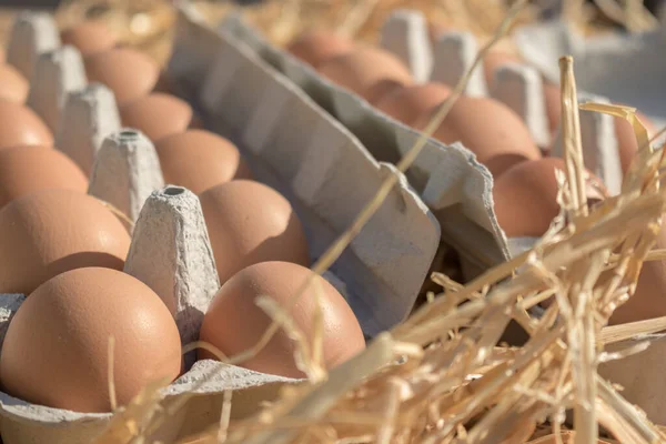 来自自由放养的鸡的有机蛋 放在柳条篮和蛋杯中 — 图库照片
