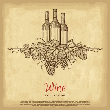 Şarap şişeli el yapımı üzüm çelengi. Eski kağıt dokusu arka planı. Tasarımının şablonu işe yarıyor. İşlenmiş biçim vektör illüstrasyonu.