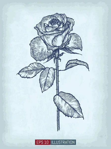 Χέρι Ζωγραφισμένο Τριαντάφυλλο Παλιό Χαρτί Χειροτεχνίας Υφή Φόντο Πρότυπο Για — Διανυσματικό Αρχείο