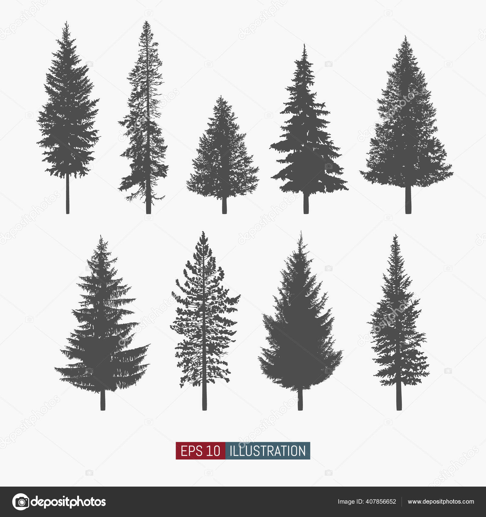 针叶树隔离轮廓设置松树和冷杉的扁平图标你设计作品的元素矢量说明图库矢量图©a.navalny 407856652, image size:1600x1700