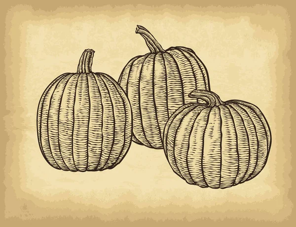 Calabazas Dibujadas Mano Sobre Fondo Textura Papel Artesanal Viejo Plantilla — Vector de stock