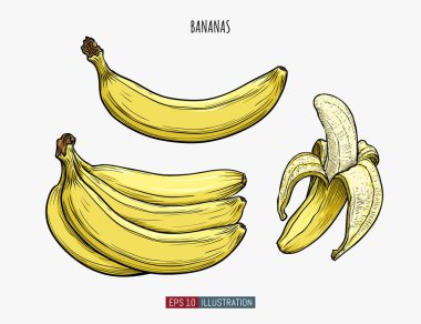 El yapımı muz izole edilmiş. Tasarımının şablonu işe yarıyor. İşlenmiş biçim vektör illüstrasyonu.