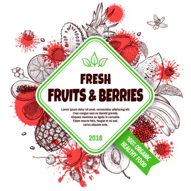 Taze meyve ve böğürtlen pankartı. El yapımı taze meyve ve böğürtlen seti. Tasarımının şablonu işe yarıyor. İşlenmiş biçim vektör illüstrasyonu.
