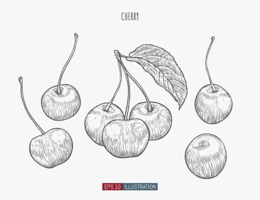 El yapımı kiraz izole edilmiş. Tasarımının şablonu işe yarıyor. İşlenmiş biçim vektör illüstrasyonu.
