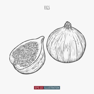 El yapımı incirler izole edilmiş. Tasarımının şablonu işe yarıyor. İşlenmiş biçim vektör illüstrasyonu.