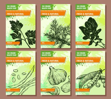 Sebze pankartları hazır. Lahana, karnabahar, enginar, marul, kereviz, kuşkonmaz. El yapımı taze ve doğal sebzeler. Tasarımının şablonu işe yarıyor. Vektör illüstrasyonu.