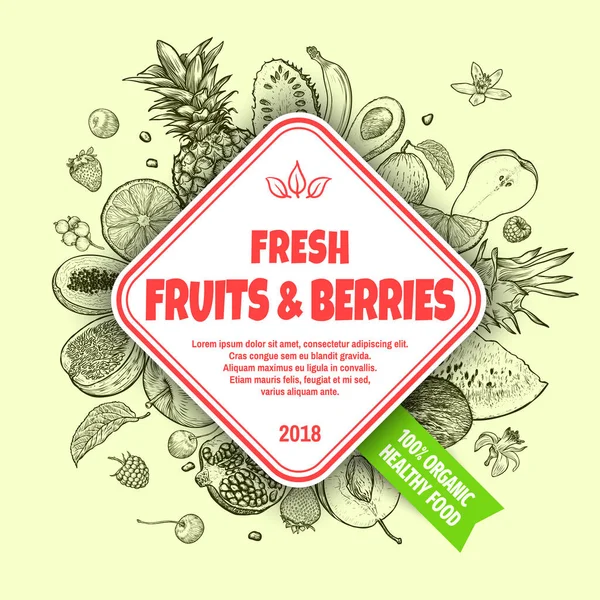 Concepto Banner Frutas Bayas Frescas Conjunto Frutas Bayas Frescas Extraídas — Vector de stock