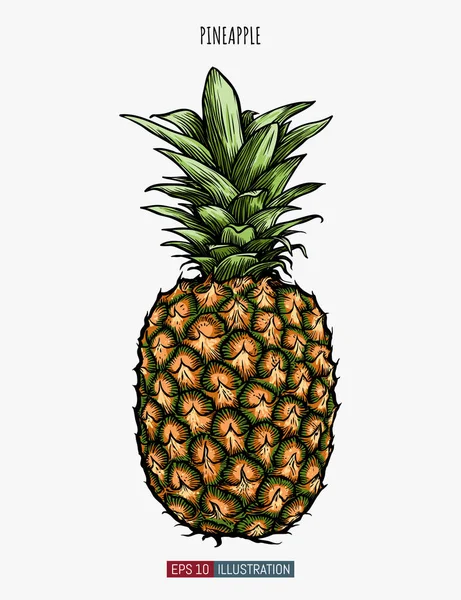 Hand Drawn Pineapple Isolated Template Your Design Works Engraved Style — Stock Vector