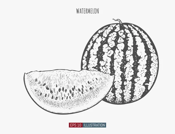 Melon Eau Dessiné Main Isolé Modèle Pour Vos Travaux Conception — Image vectorielle