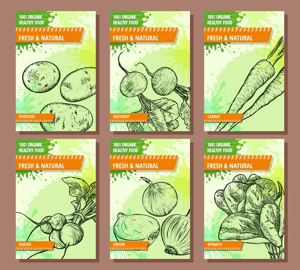 Овощные Баннеры Установлены Ручные Рисованные Свежие Натуральные Овощи Картофель Свекла — стоковый вектор