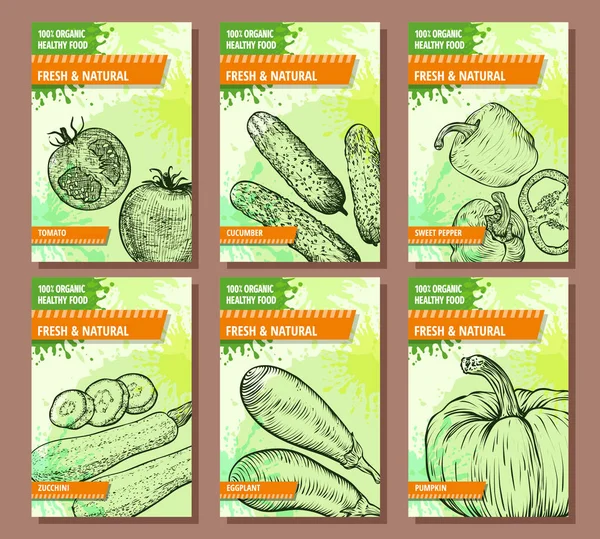 Овощные Баннеры Установлены Ручные Рисованные Свежие Натуральные Овощи Помидор Огурец — стоковый вектор