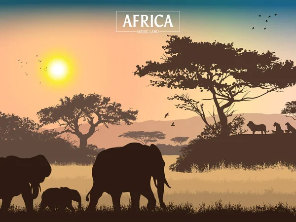 Afrykański Krajobraz Trawa Drzewa Ptaki Sylwetki Zwierząt Abstrakcyjne Tło Natury — Wektor stockowy