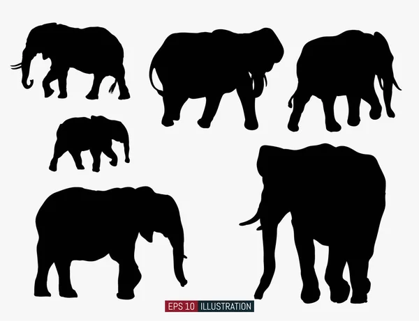 Conjunto Siluetas Animales Africanos Elefante Plantilla Para Sus Trabajos Diseño — Vector de stock