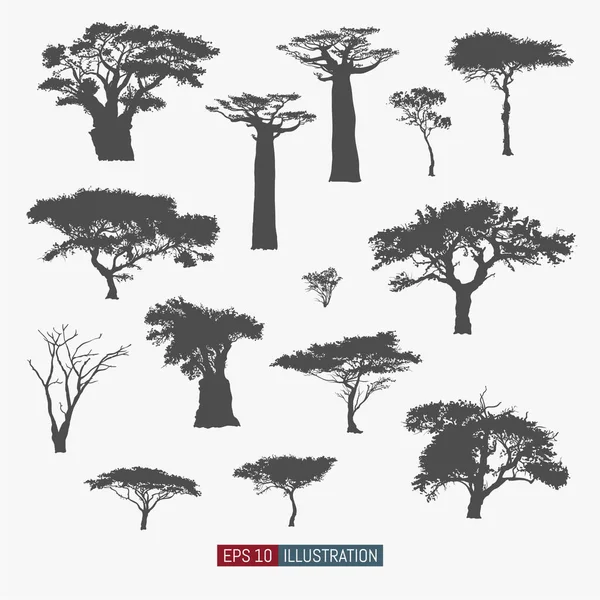 Afrika ağacı siluetleri ayarlandı. Baobab, akasya ve diğerleri. Tasarımın için elementler işe yarıyor. Vektör illüstrasyonu.