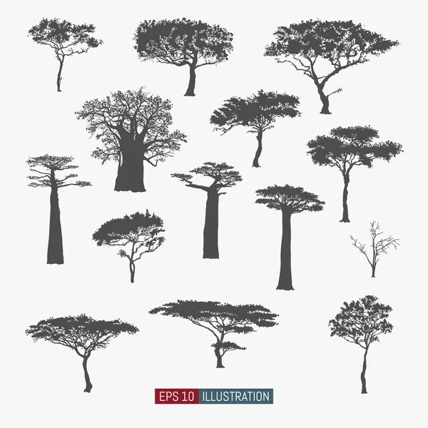 Conjunto Siluetas Árboles Africanos Aislados Baobab Acacia Otros Los Elementos — Archivo Imágenes Vectoriales