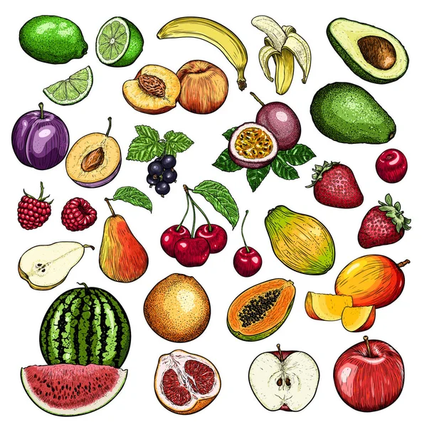 Fruits Dessinés Main Baies Ensemble Modèle Pour Vos Travaux Conception — Image vectorielle